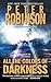 All the Colors of Darkness by Peter    Robinson