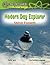 Modern Day Explorer: Steve Fossett (Reading Essentials Discovering & Exploring Science)