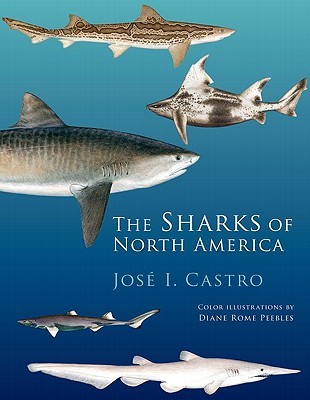The Sharks of North America (Hardcover)