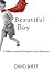 Beautiful Boy by David Sheff