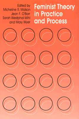 Feminist Theory in Practice and Process (Paperback)