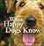 What Happy Dogs Know