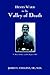 Henry Ward in the VALLEY of DEATH by James L. Collins