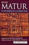 In The Temple Of A Patient God by Bejan Matur