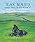 Black Beauty's Early Days in the Meadow by Anna Sewell Black Beauty's Early Days in the Meadow by Anna Sewell
