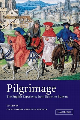 Pilgrimage: The English Experience from Becket to Bunyan (Paperback)