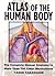 Atlas Of The Human Body