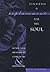 Finding a Replacement for the Soul by Brett Bourbon
