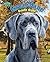 Great Dane by Stephen Person