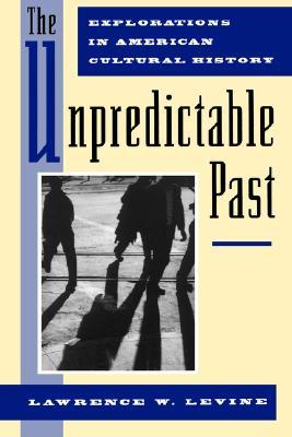The Unpredictable Past: Explorations in American Cultural History (Paperback)