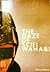 The Gaze of SciFi Wahabi by Sophia Al-Maria