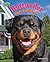 Rottweiler: Super Courageous (Big Dogs Rule)