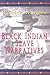 Black Indian Slave Narratives
