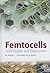 Femtocells: Technologies and Deployment