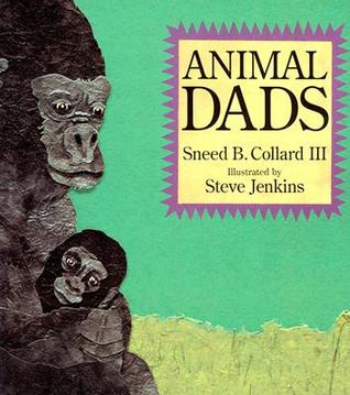 Animal Dads (Paperback)