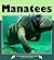Manatees (Nature Watch)