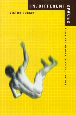 In/Different Spaces: Place and Memory in Visual Culture (Paperback)