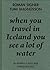 When You Travel in Iceland You See a Lot of Water by Roman Signer