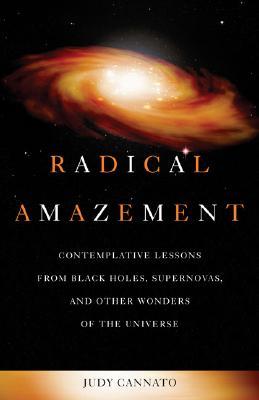 Radical Amazement: Contemplative Lessons from Black Holes, Supernovas, And Other Wonders of the Universe (Paperback)