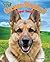 German Shepherd: Super Smart (Big Dogs Rule)