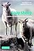 Soay Sheep: Dynamics and Se...