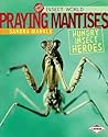 Insect World: Praying Mantises
