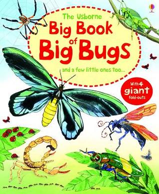 Big Book Of Big Bugs (Hardcover)