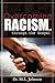 Overcoming Racism... Through the Gospel by M.L. Johnson