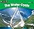 The Water Cycle (Rising Readers: Science Set 2: Levels E-i)