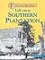 Life on a Southern Plantation