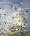 Sarah Sze