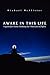 Awake in This Life: A Guide for Those Climbing the Mountain of Spirit