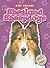 Shetland Sheepdogs (Blastof...