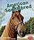 American Saddlebred Horses (Pebble Books: Horses)
