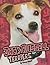 Jack Russell Terriers (Edge...