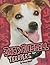 Jack Russell Terriers (Edge Books)