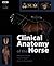 Clinical Anatomy of the Horse