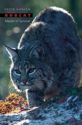 Bobcat: Master of Survival