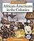 African-Americans in the Colonies (We the People)