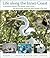 Life along the Inner Coast by Robert L. Lippson