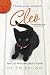 CLEO: The Cat Who Mended a ...