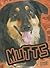 Mutts (All About Dogs)
