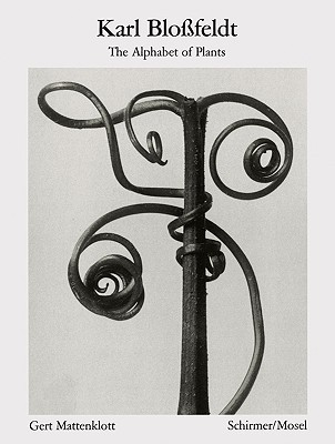Karl Blossfeldt: The Alphabet of Plants (Paperback)