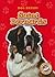 Saint Bernards (Blastoff! R...
