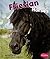 Friesian Horses (Pebble Boo...