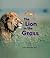 The Lion in the Grass (Benchmark Rebus)