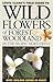 Wild Flowers of Forest & Woodland: In the Pacific Northwest (Lewis Clark's Field Guide)