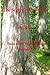 The Secret Life of Trees (T...