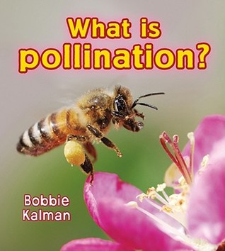 What is Pollination? (Big Science Ideas)