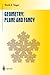 Geometry: Plane and Fancy (Undergraduate Texts in Mathematics)